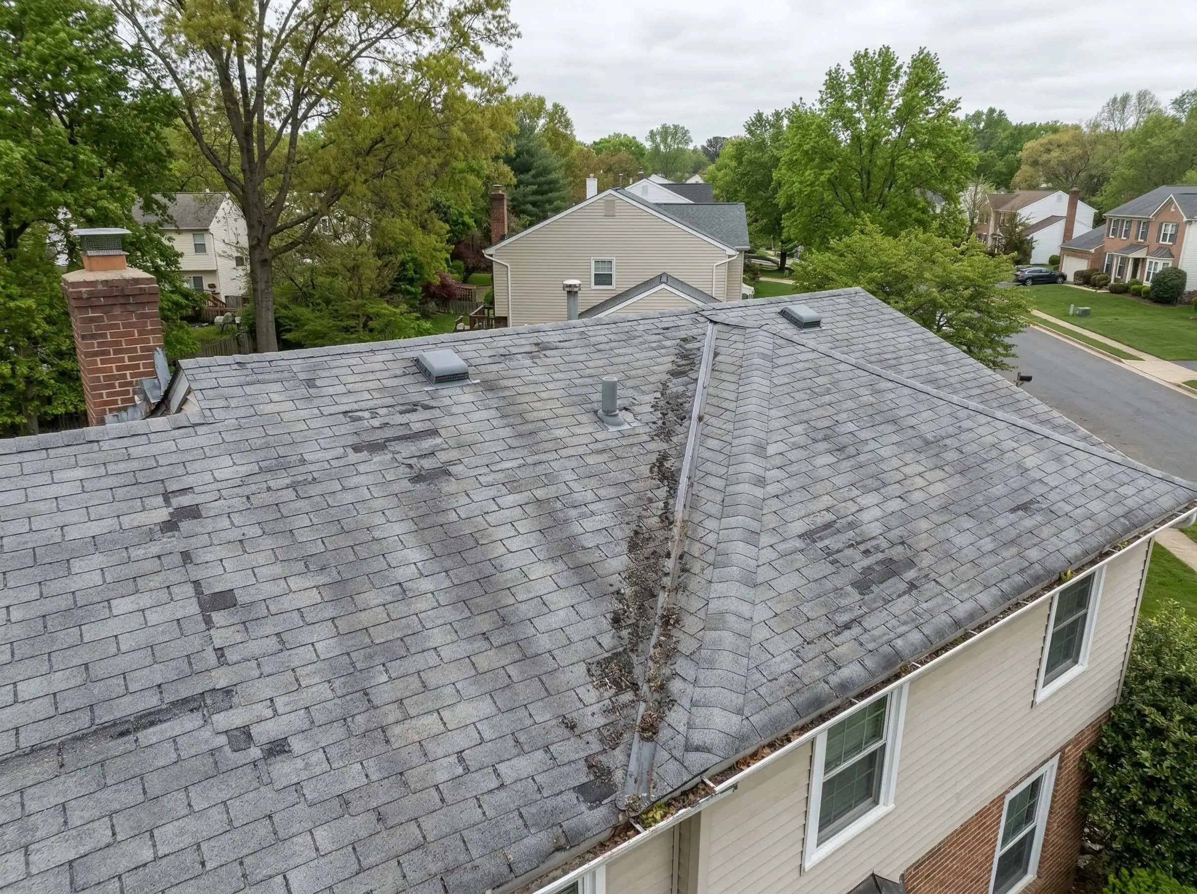 12-year-old Springfield VA roof showing granule loss and shingle brittleness before Roof Maxx treatment